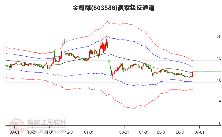 金麒麟股票,金麒麟股票，小巷中的隐秘宝藏，探索未知的投资魅力