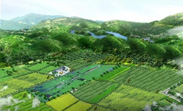 养猪设施前沿，与自然美景的邂逅与内心的平和宁静探索