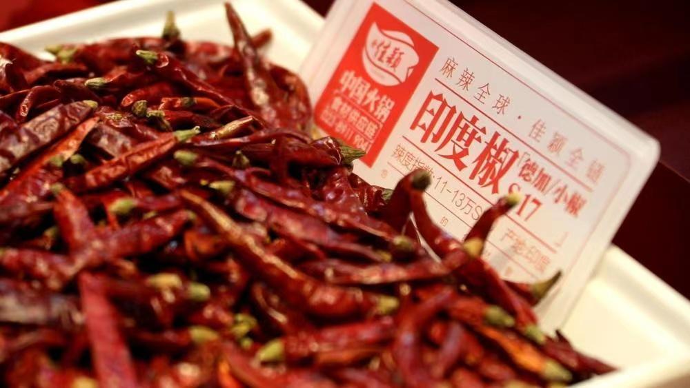 广西印度辣椒行情最新动态更新