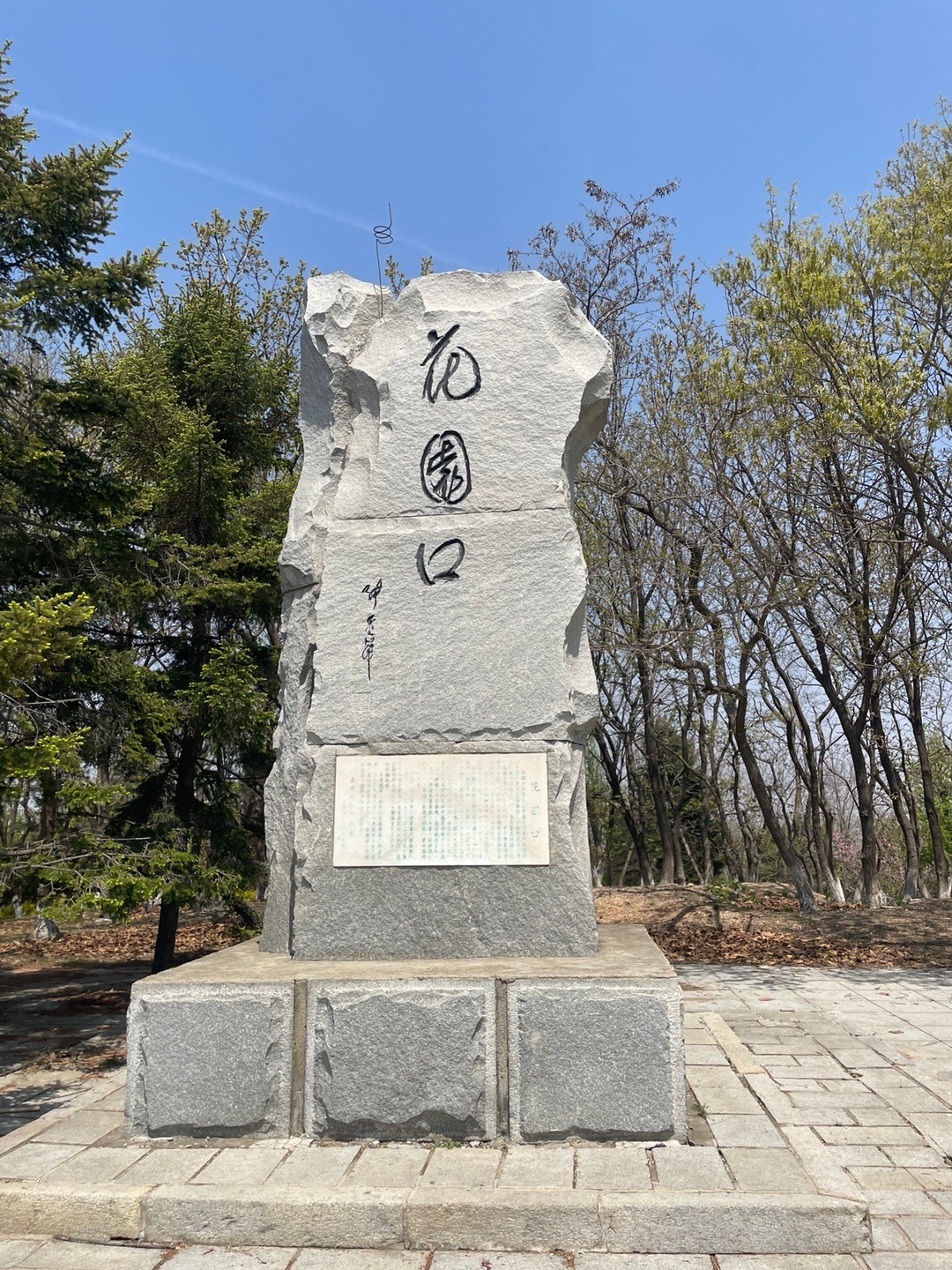 大连花园口蓬勃发展新篇章，最新动态速递