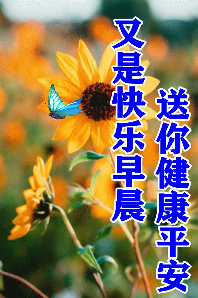 时尚潮流尽在掌握，最新动态包大赏！