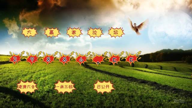 ＂4949澳门今晚开奖＂的：数据引导执行策略_创意版6.32