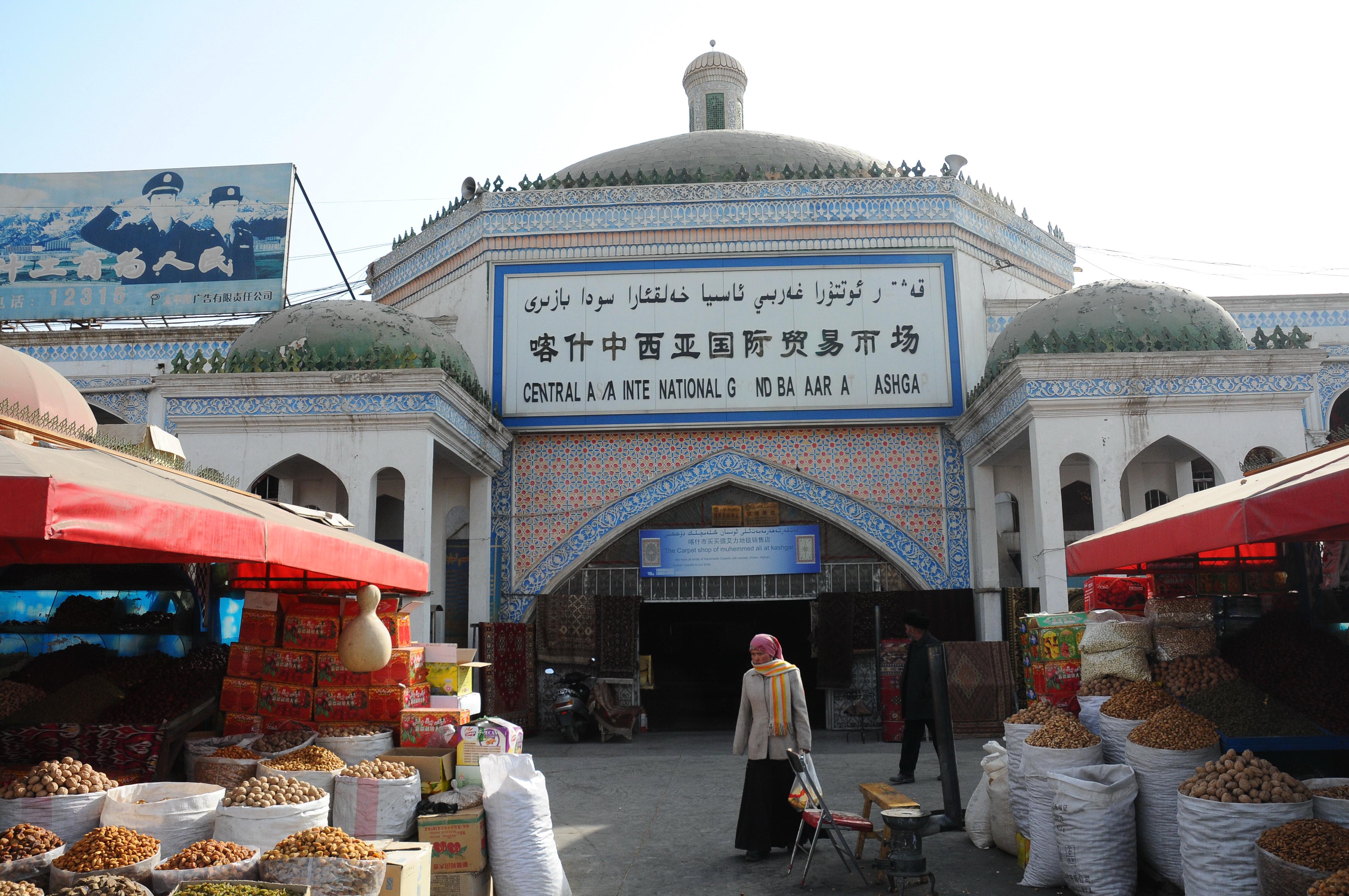 杨世界最新动态，引领时代潮流，展现无限潜力风采