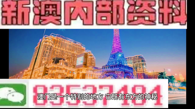 ＂新澳门资料大全正版资料2024年免费下载,家野中特＂的：具象化表达解说_数字版4.85