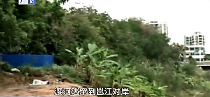 南宁最新命案调查，绿色旅行寻找内心平静之路